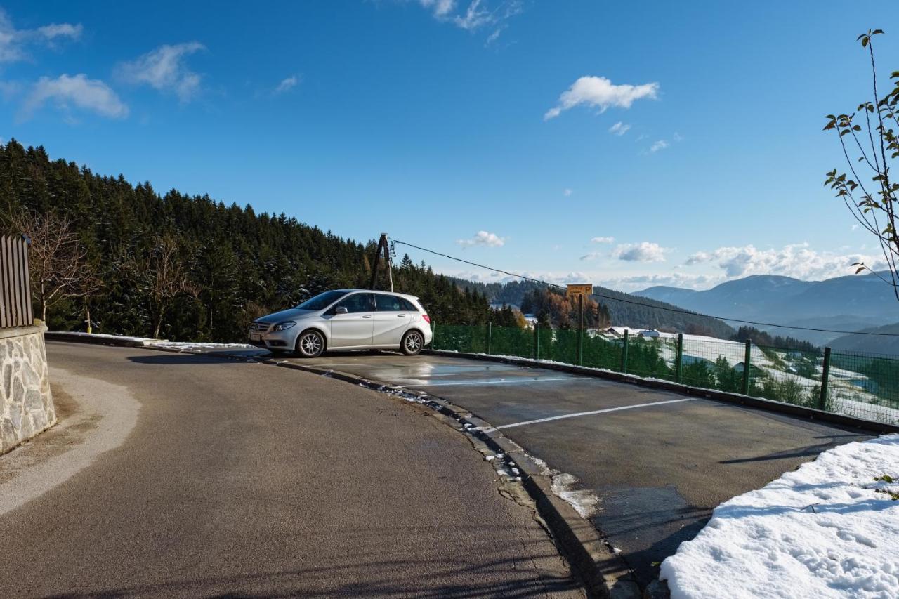 Apartment Jorsi With Mountain View Zrece Exterior photo