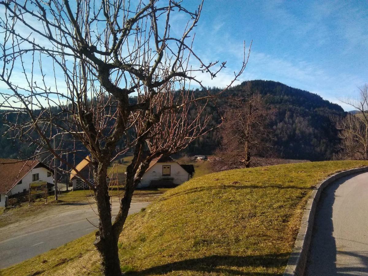 Apartment Jorsi With Mountain View Zrece Exterior photo