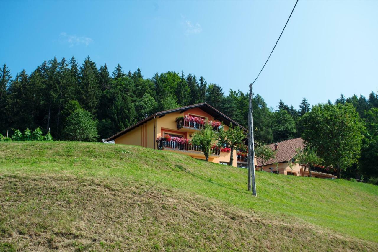 Apartment Jorsi With Mountain View Zrece Exterior photo